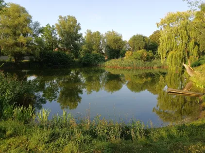 Inselteich (Glebitzsch)