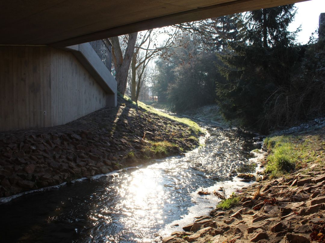 Reide (Halle/Saale) angeln