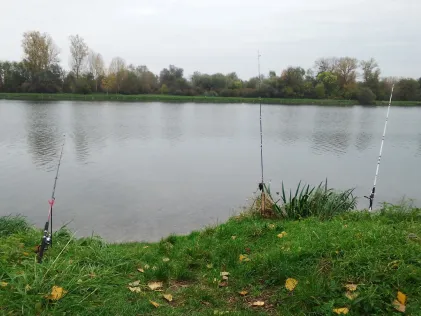 Altrhein (Au am Rhein)