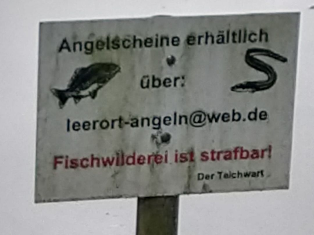 Ententeich (Leerort) angeln