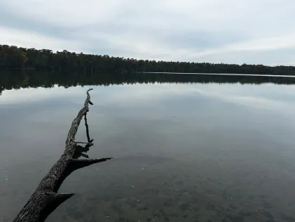 Kolpinsee (Lehnin)
