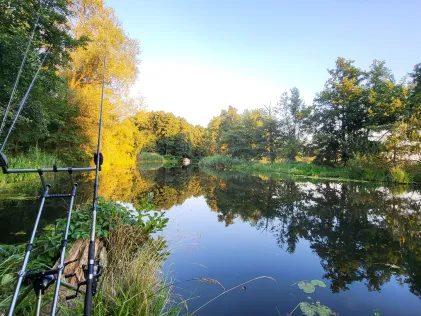 Spree (Erkner)
