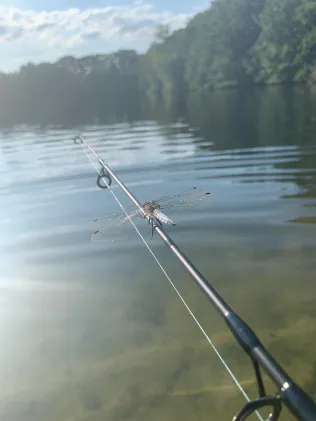 Baggersee Collinghorst