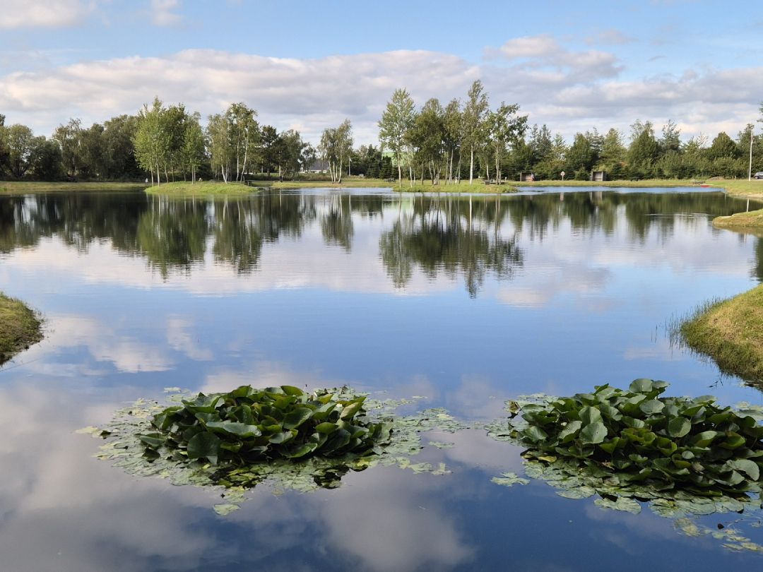 Marielyst Fiskesø angeln