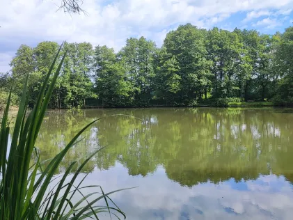 Karoxbosteler Teich
