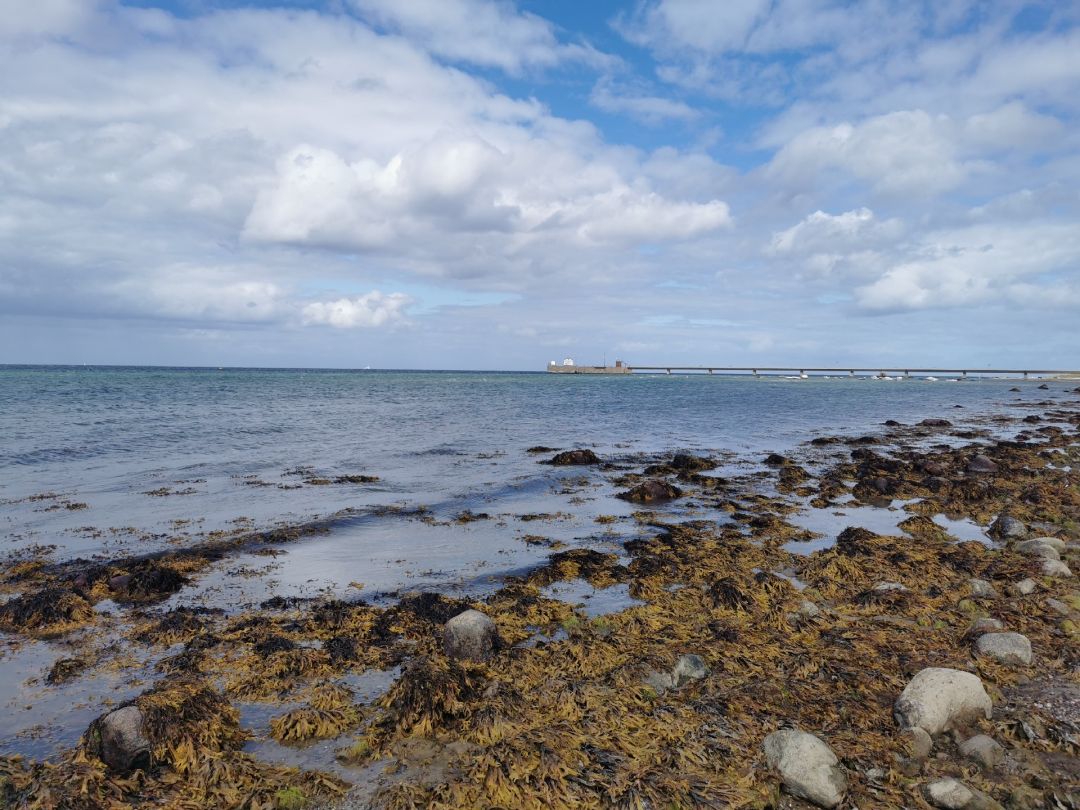 Ostsee (Schwedeneck) angeln