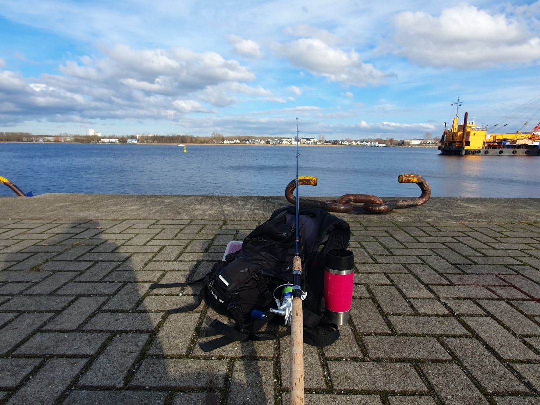 Fischereihafen / Alter Hafen (Rostock) angeln