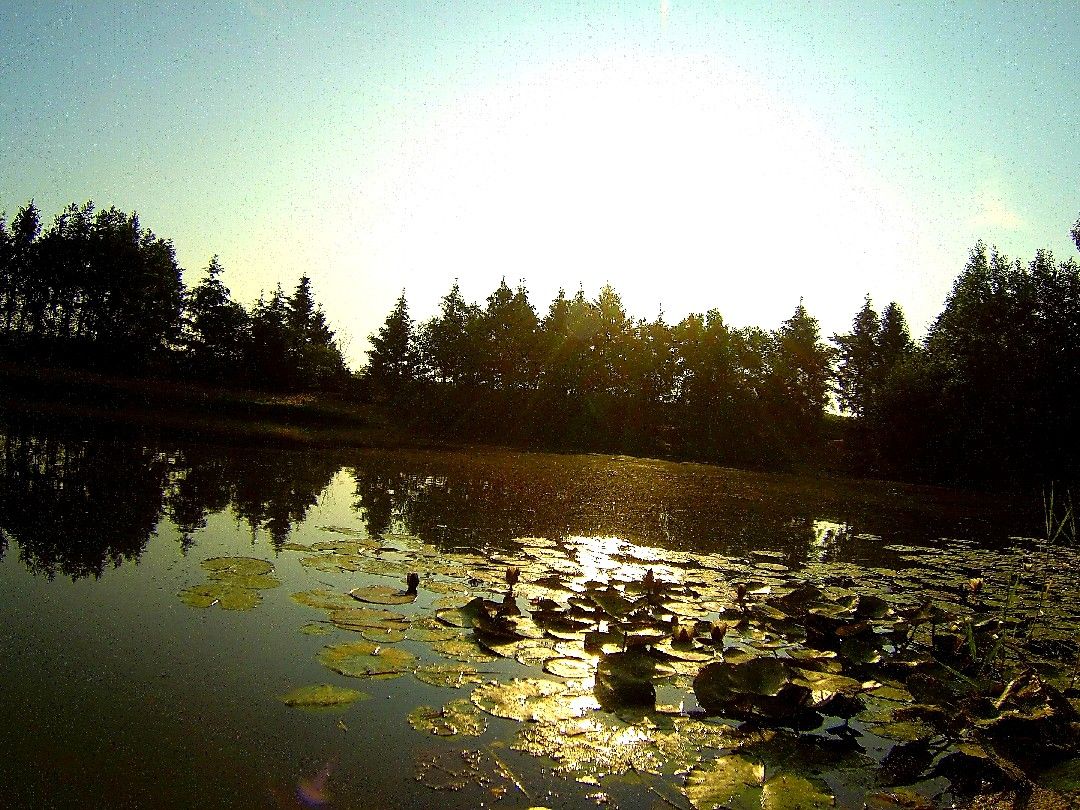 Waldsee Reken angeln