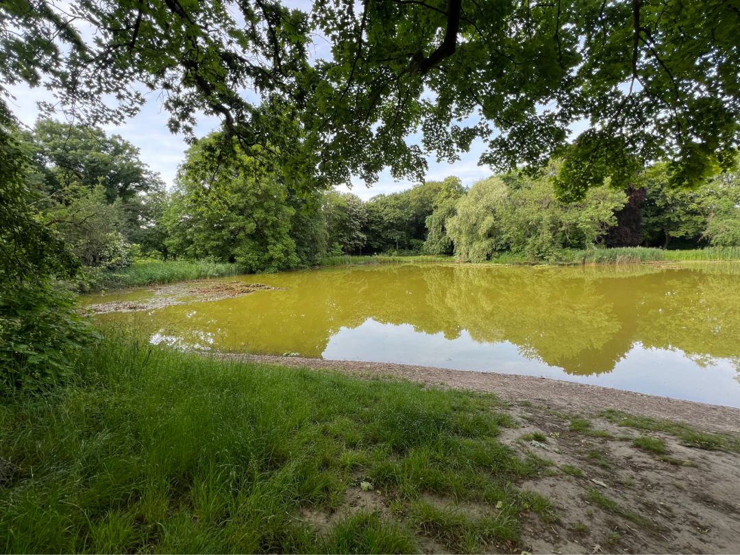 Parkteich Stünz angeln