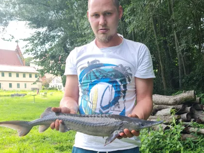 Fischteiche Plattenburg