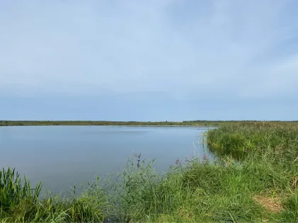 Ludwigshofer See