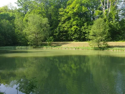Klosterteiche Anrode