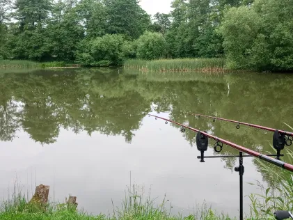 Zanderteich (ASV Herrhausen)