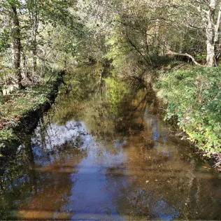 Wehrau (Osterrönfeld)