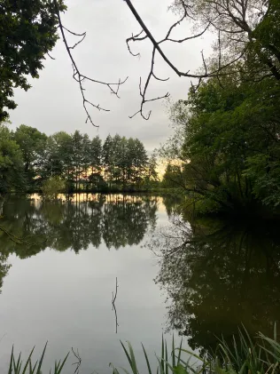 Heimteich in Münchenreuth