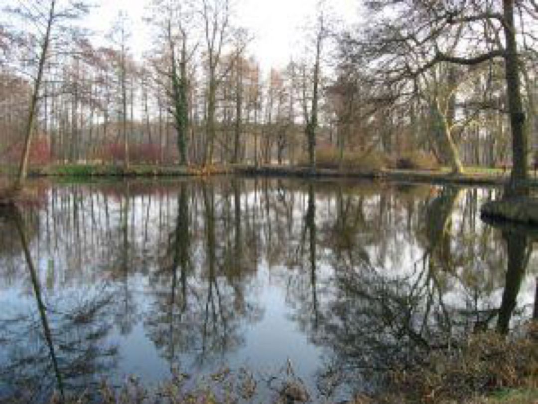 Amtsfreiheit Teich angeln