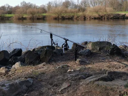 Weser (Nienburg)