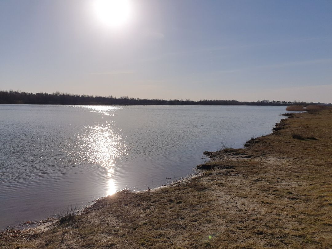 Großer Schöninghsee angeln