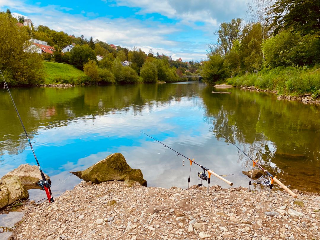 Neckar (Tübingen) angeln