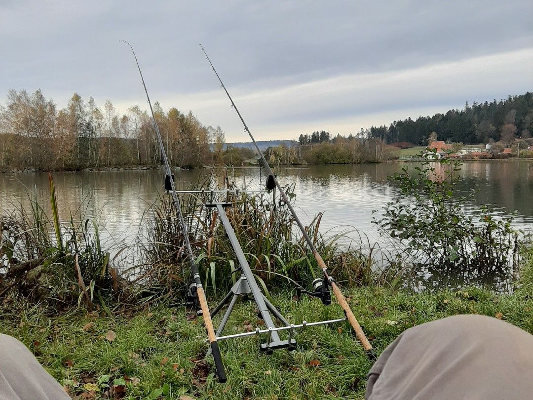 Erlauzwieseler See angeln