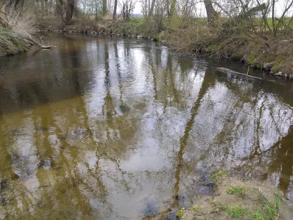 Ilm (Ilmendorf)