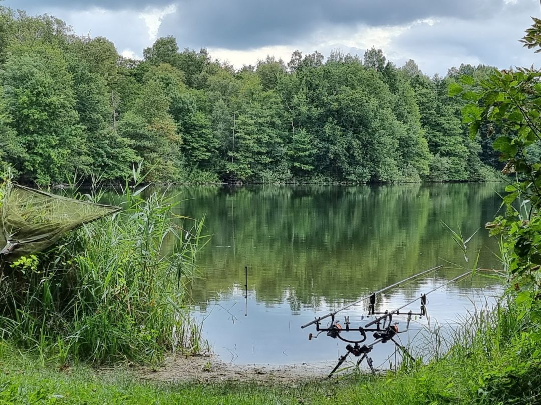 Kleiner Moorsee (Meckelfeld) angeln