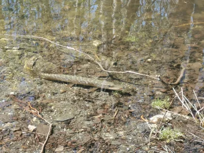 Schieferloch am Trockenwerk