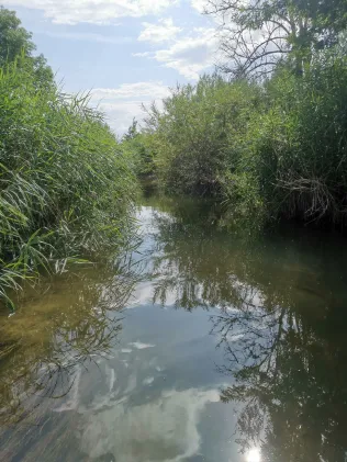 Kessel (Donauwörth)