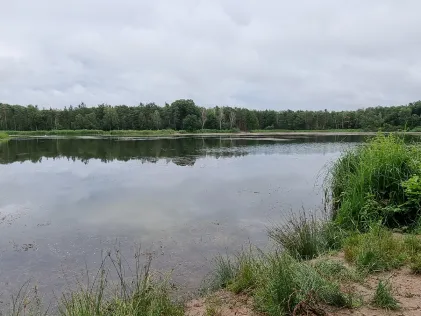 Kellmetschweiher