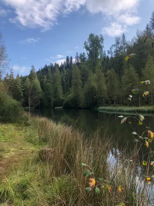 Langenbrunnenweiher