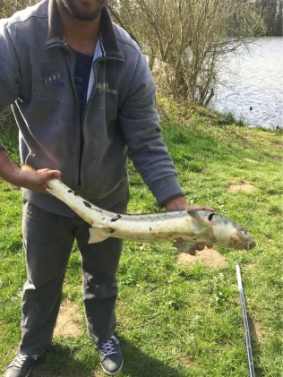 Flörkendorfer Mühlenteich