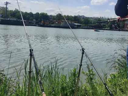 Neckar (Wernau/Neckar)