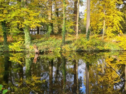 Burggraben Wittlage