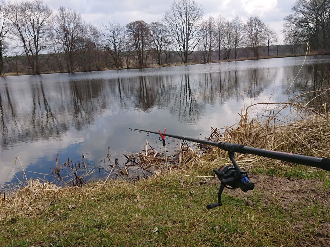 Angeln in Hollenstedt