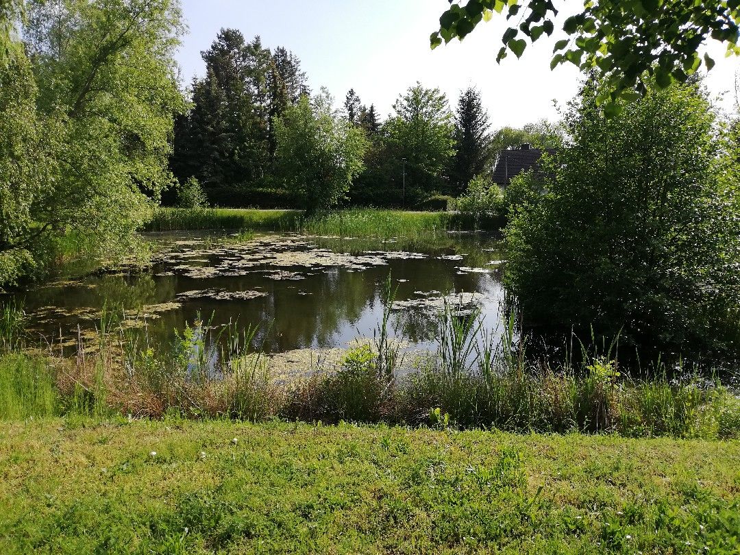 Dorfteich Oebles-Schlechtewitz angeln