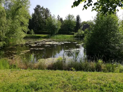 Dorfteich Oebles-Schlechtewitz