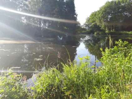 Kattensteertsee