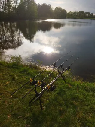 Hollesee