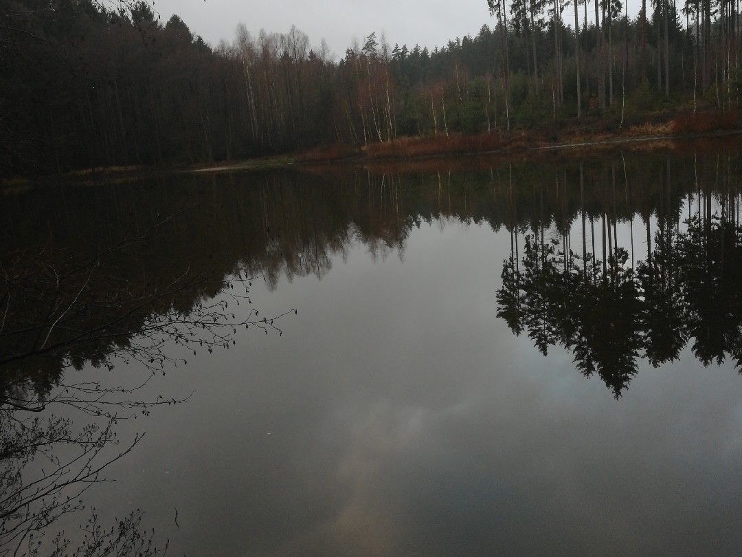 Schwarzer Teich (Harth-Pöllnitz) angeln