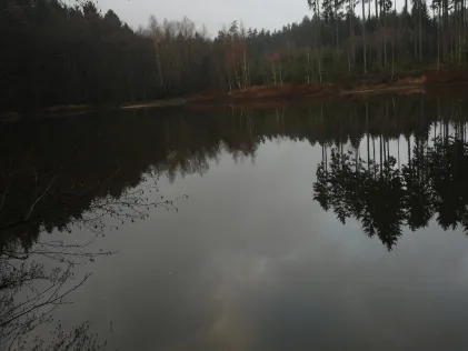 Schwarzer Teich (Harth-Pöllnitz)