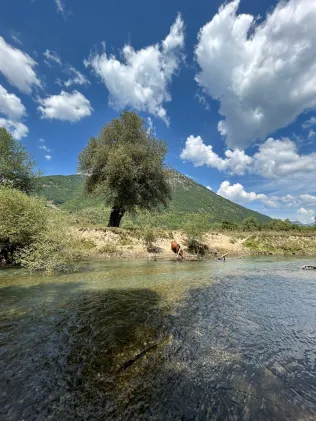Luca (Vojnoselska)