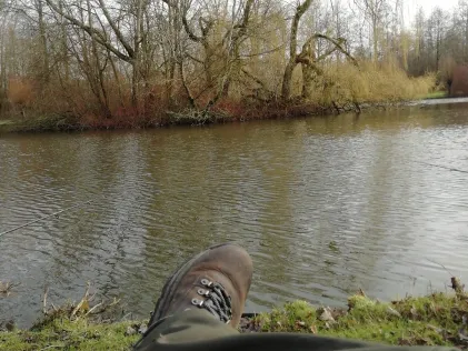 Inselteich (Gescher)