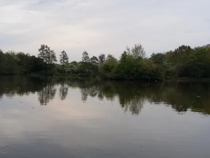 Quellenteich (Braunschweig)