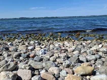 Ostsee (Altenhof)