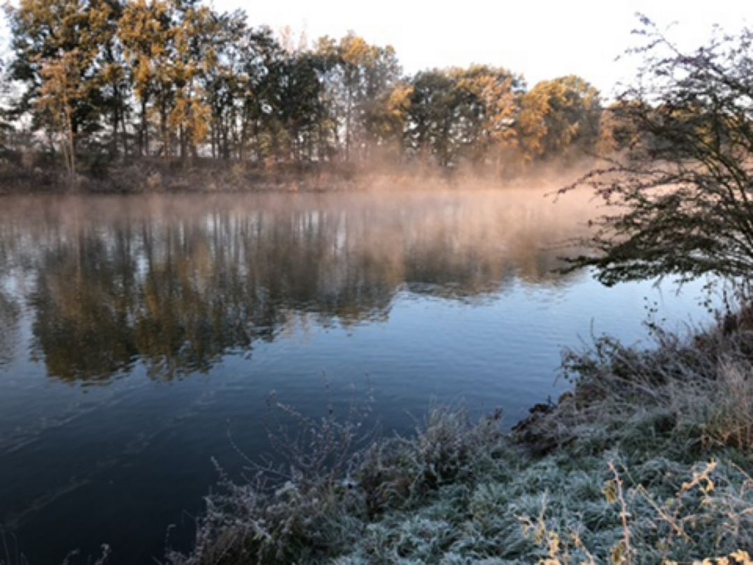 Angeln in Oebisfelde-Weferlingen