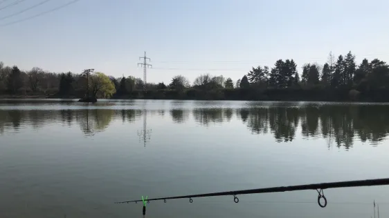 Vereinsee ASV Bischofsheim