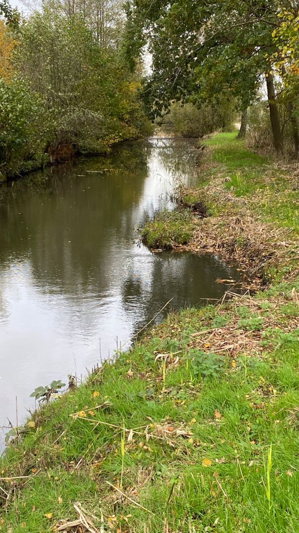 Verbindungsgraben Gröpelingen angeln