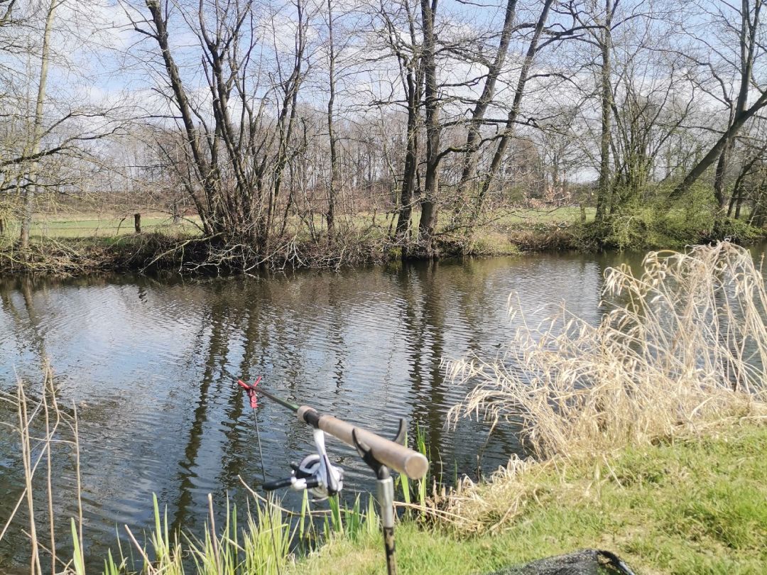 Thole Pott (Bühren) angeln