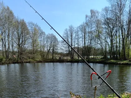 Teich Deutsch Evern