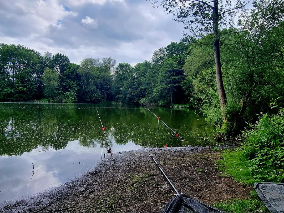 Farmsener Teich angeln